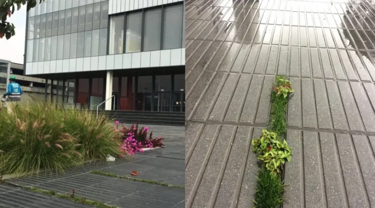 public places