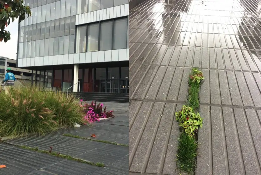 public places